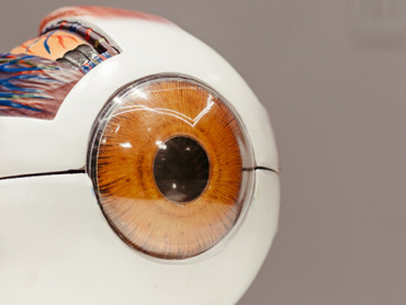 A/B Testing Analytics