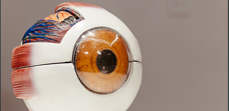 A/B Testing Analytics