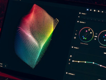 Data Governance Steps