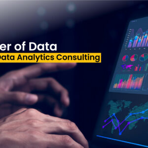 Data Analytics Consulting